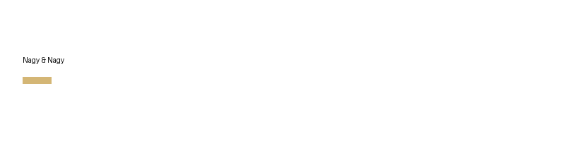 Nagy & Nagy logo